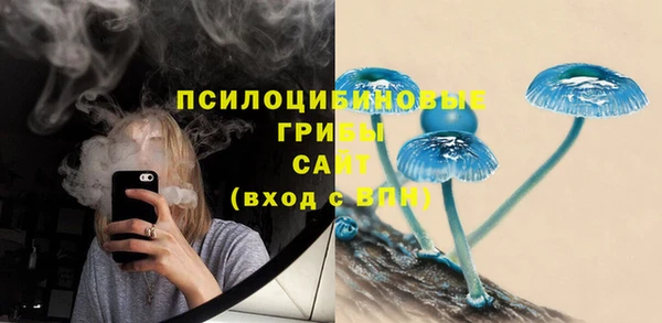 молекула духа Балахна