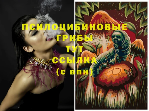 молекула духа Балахна