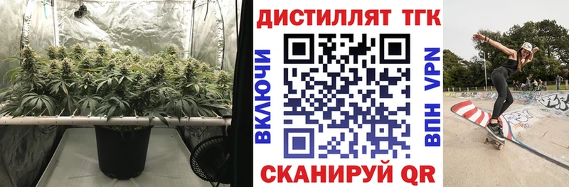 гидра ссылка  Белая Холуница  ТГК вейп  магазин продажи  