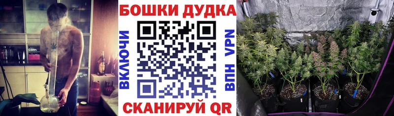 закладки Белая Холуница МАРИХУАНА марихуана